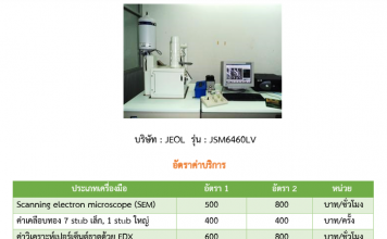 Scanning Electron Microscope (SEM)